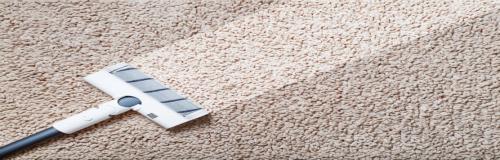 Medium Carpet (Up to 8 sq. meters)